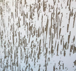 Декоративная штукатурка Короед